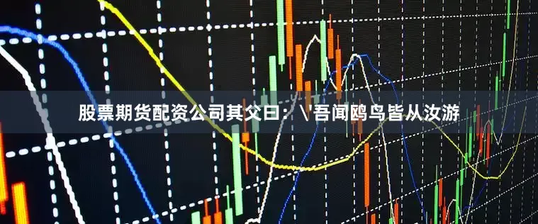 股票期货配资公司其父曰：'吾闻鸥鸟皆从汝游
