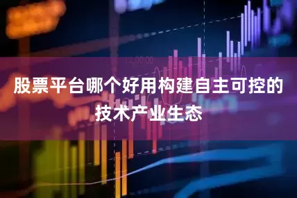 股票平台哪个好用构建自主可控的技术产业生态