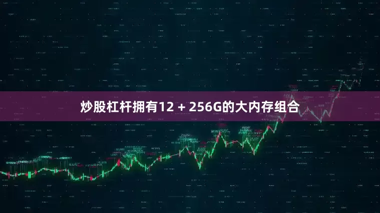 炒股杠杆拥有12 + 256G的大内存组合
